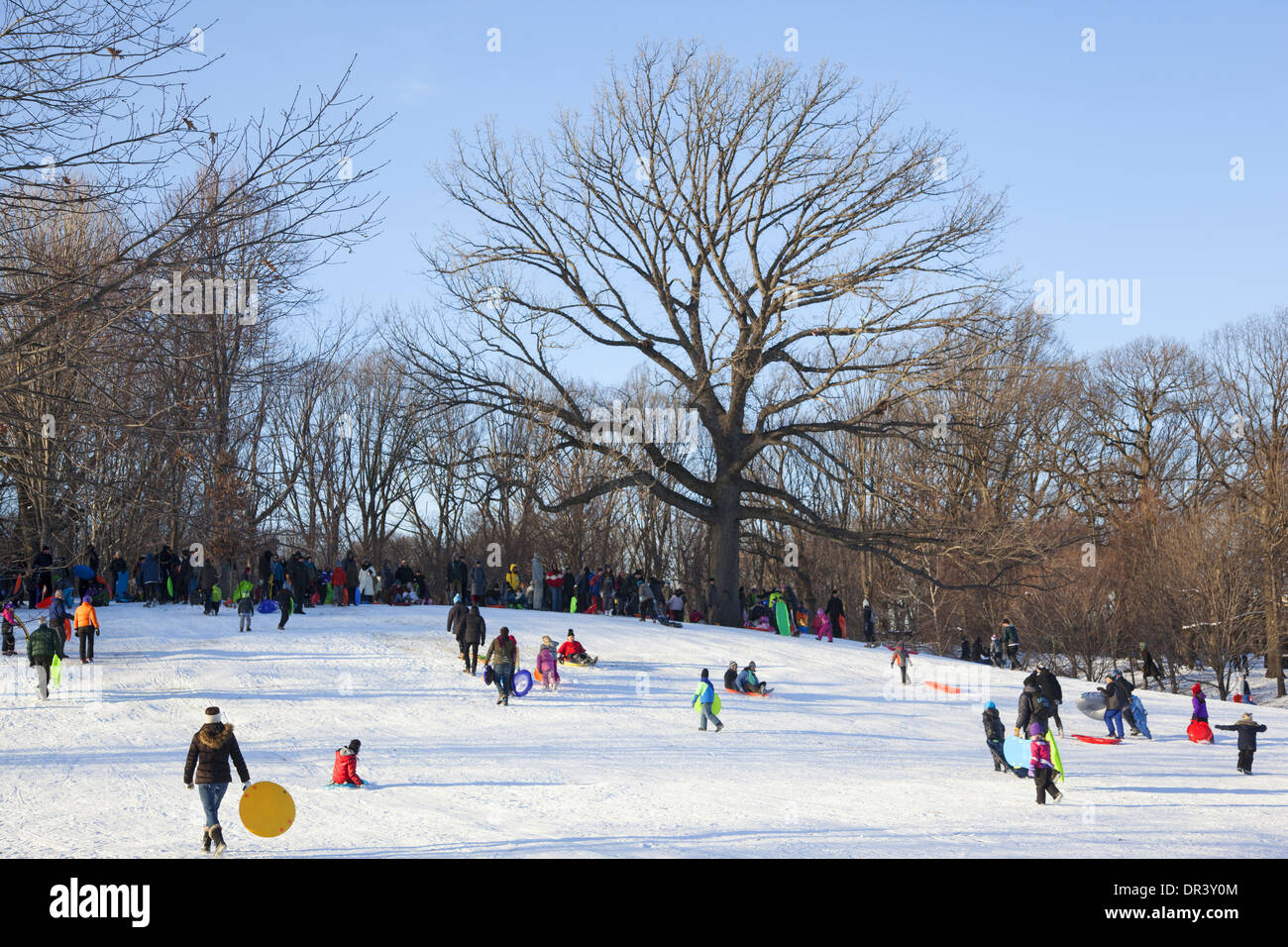 Lots of kids & parents go sledding after the first good snow of 2014 in Prospect Park, Brooklyn, NY Stock Photo
