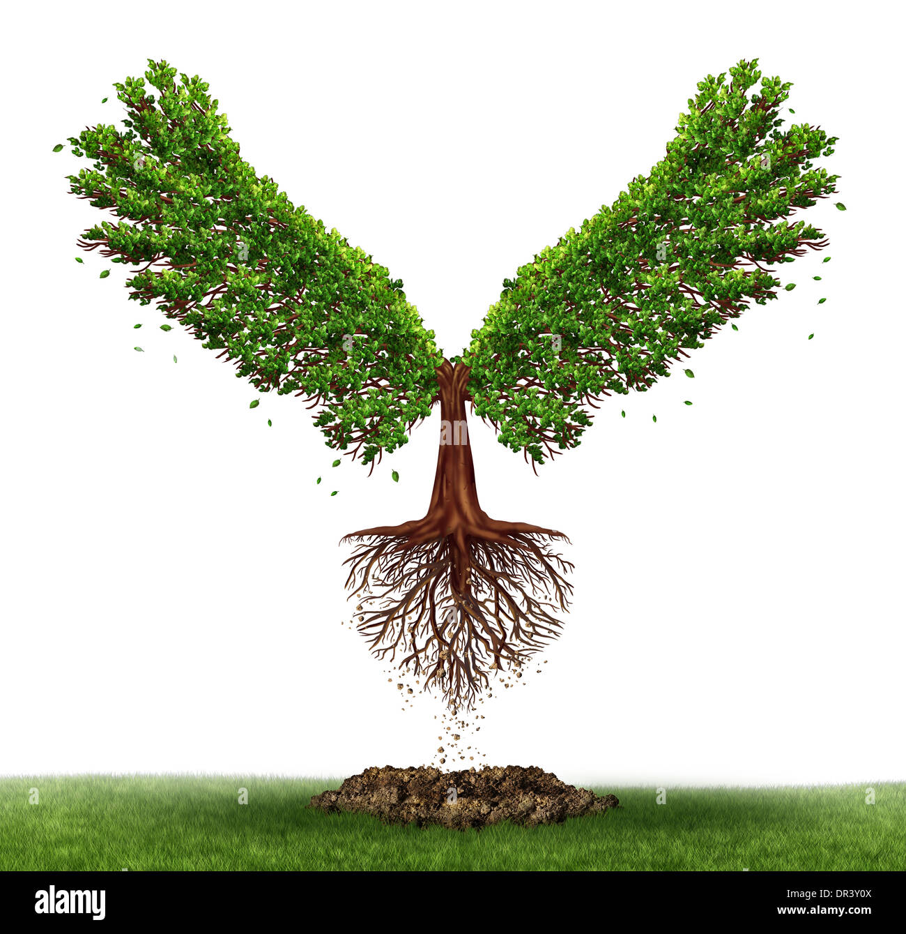 Freedom potential and the power of determination as a business and life concept with a green tree growing open wings and flying Stock Photo
