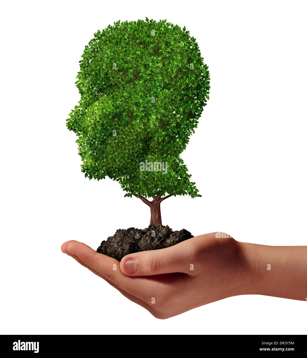 Life development concept with a hand holding a green tree shaped as a human head as a nurture metaphor and nature symbol for protection of the environment and growth potential. Stock Photo