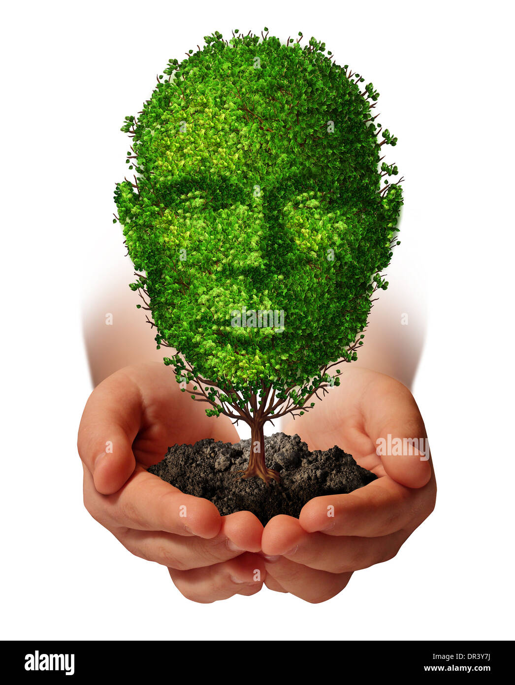 Nurture growth life development concept with a hand holding a green tree shaped as a front view human head as a caring metaphor Stock Photo