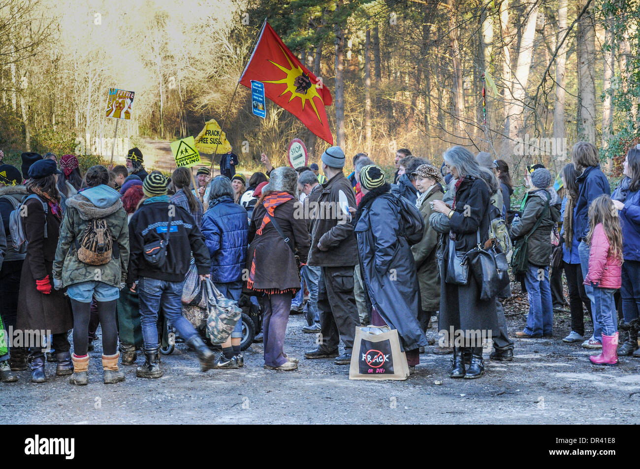 Balcombe, West Sussex, UK. 19th Jan, 2014. Anti Fracking environmentalists gather at Cuadrilla site gates long into the afternoon after a very well represented gathering outside the West Sussex site. Credit:  David Burr/Alamy Live News Stock Photo