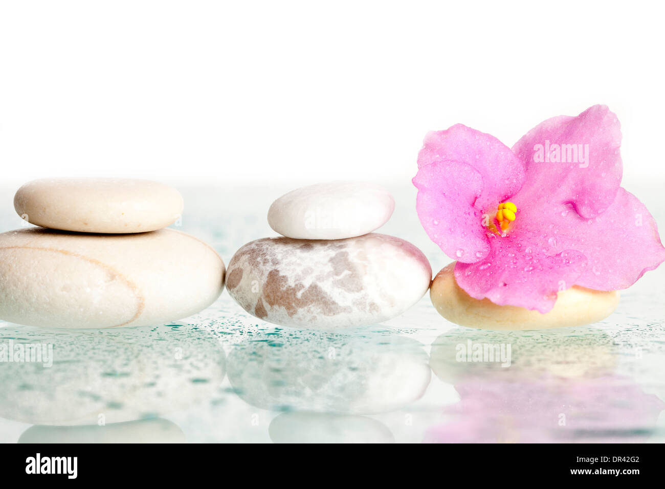 Spa stones and pink flower on white background Stock Photo