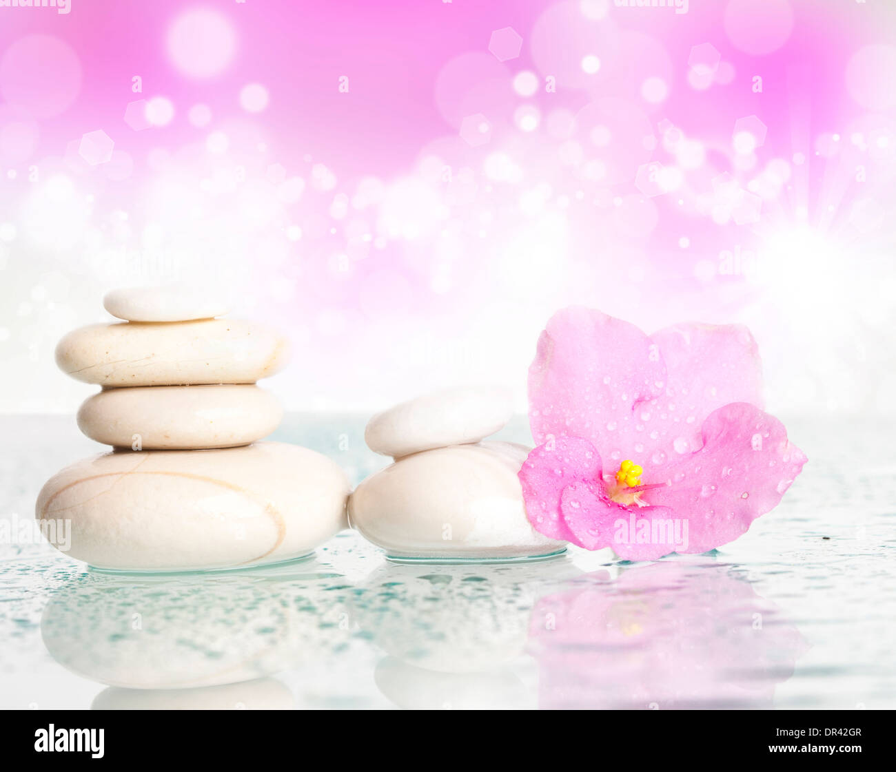 Spa stones and pink flower on colorful spring background Stock Photo