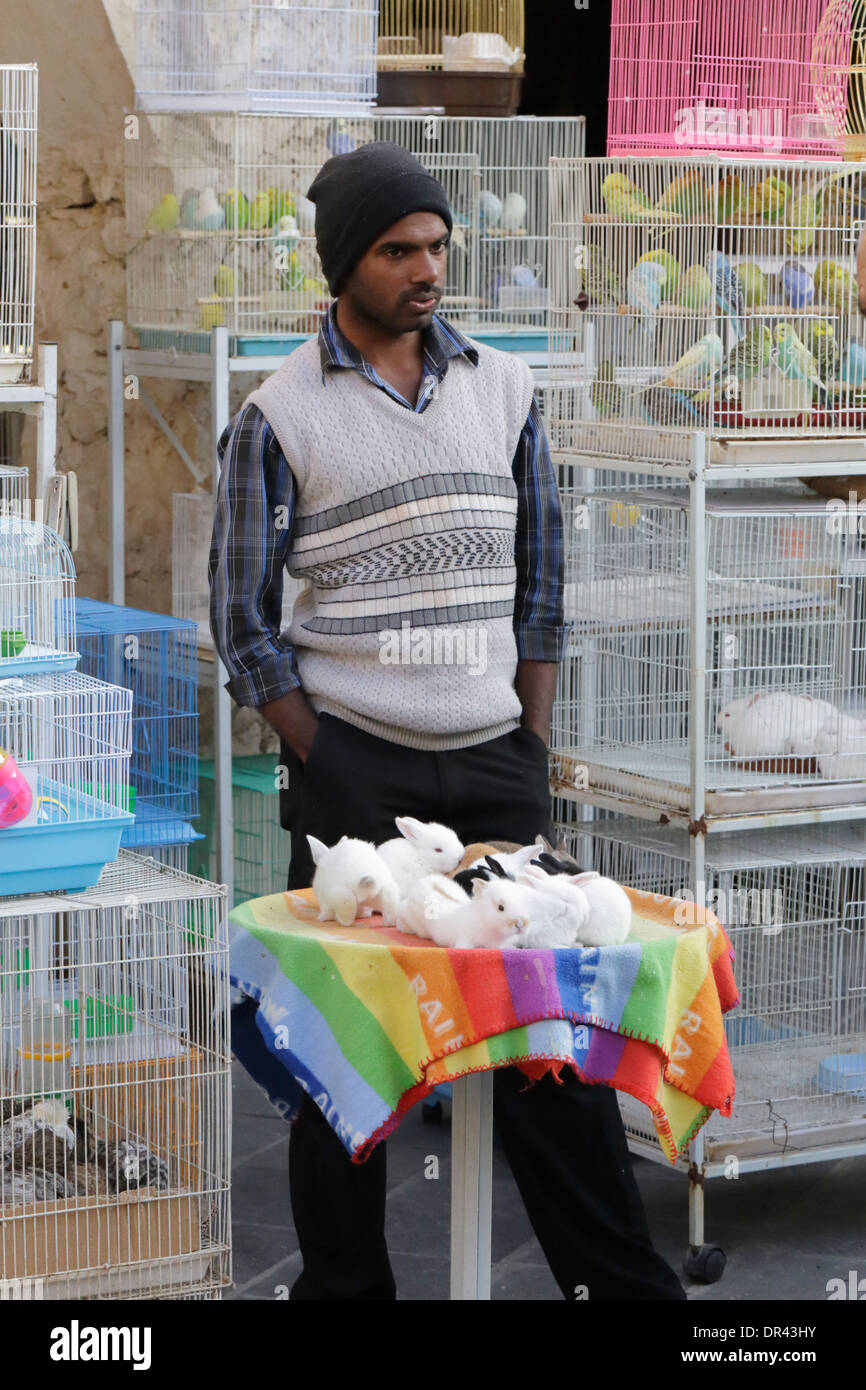 Worker budgerigars waiting baby market souq souq waqif asian hires