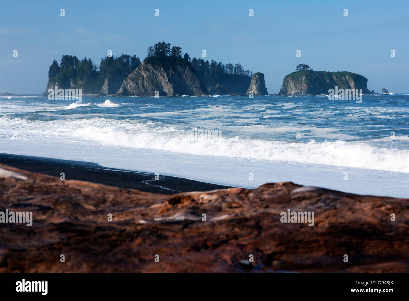 Sea Stacks and Driftwood on Rialto Beach, near La Push, Washington USA Stock Photo