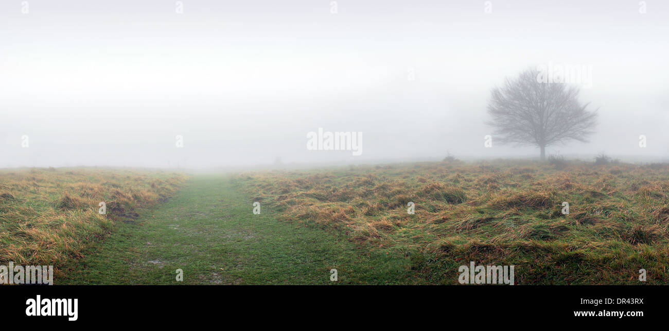 Panoramic misty foggy trail hi-res stock photography and images - Alamy