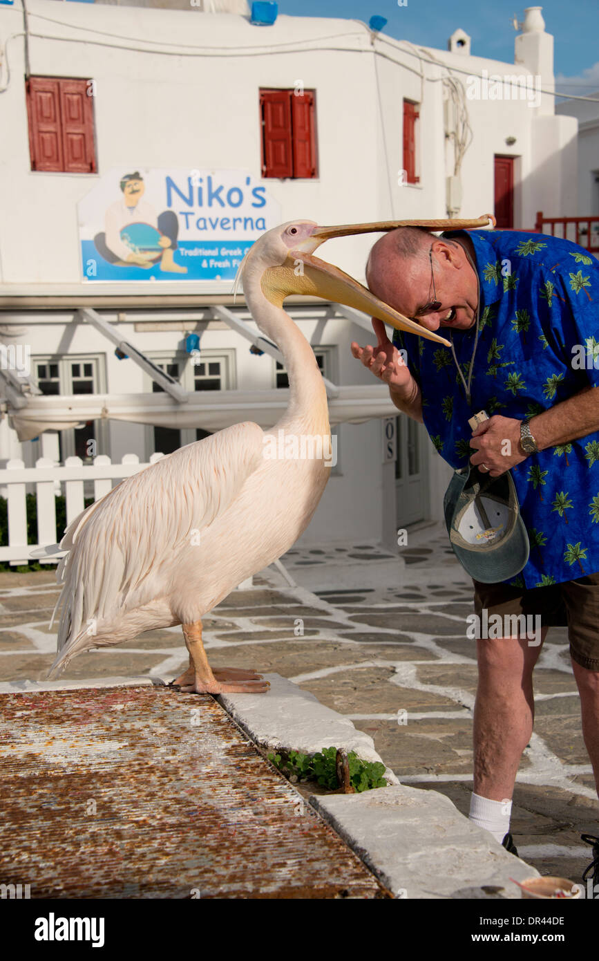 Greece, Cyclades group of islands, Mykonos, Hora. Petros (Peter) the