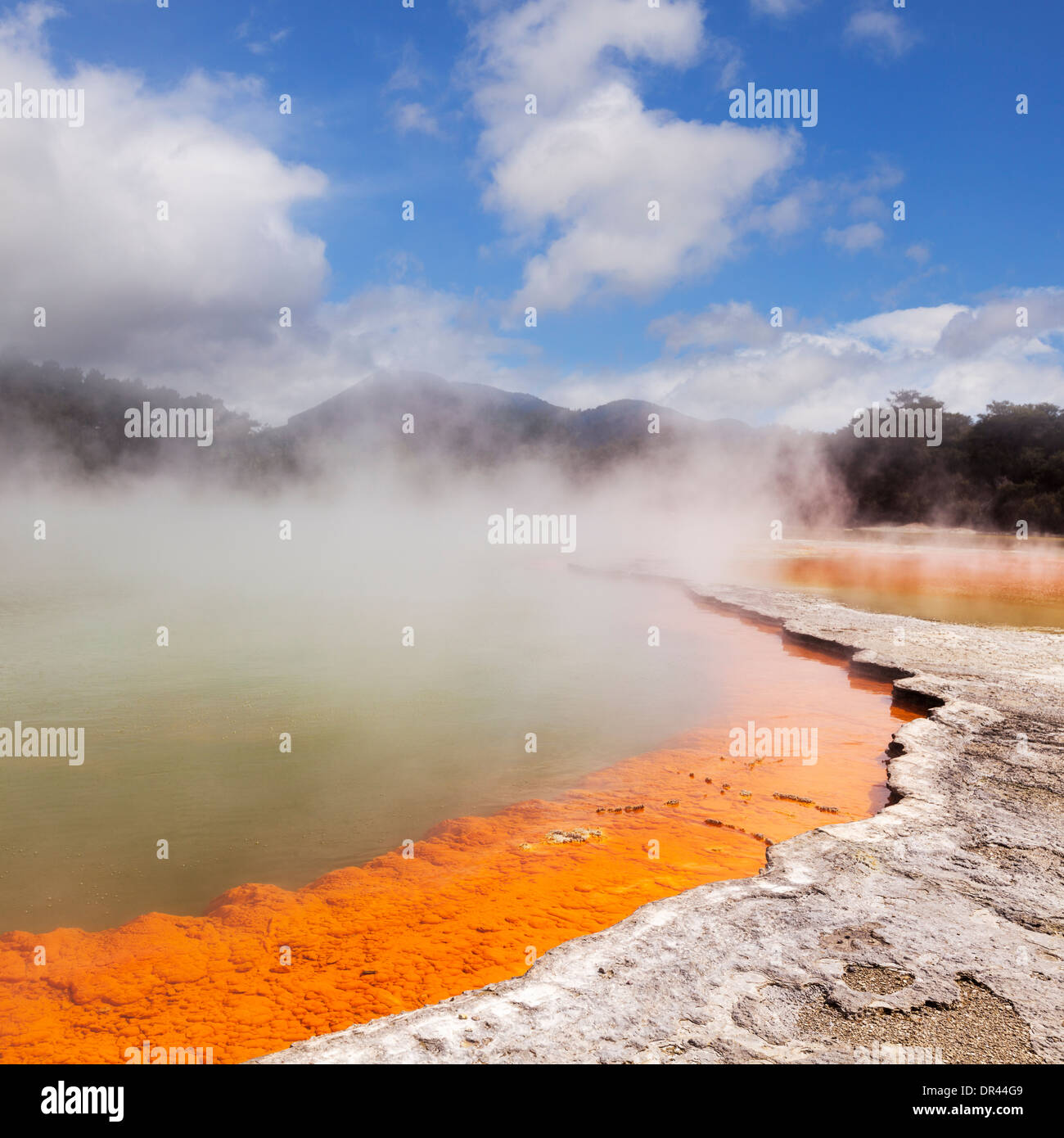 Steaming water at the Champagne Pool, Waiotapu Thermal Reserve, Rotorua, New Zealand. Stock Photo