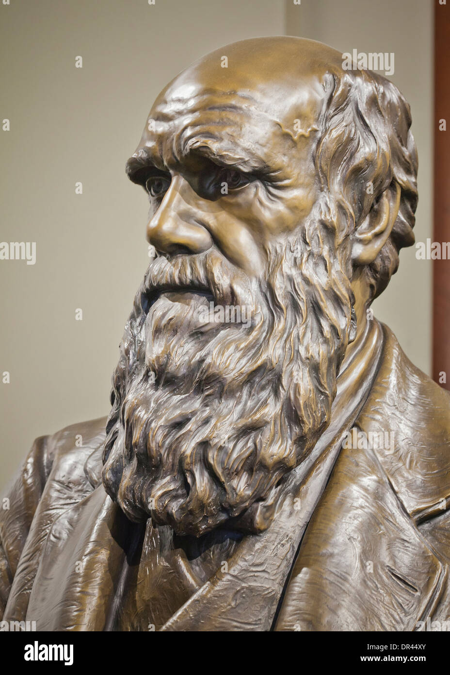 Charles Darwin sculpture Stock Photo Alamy