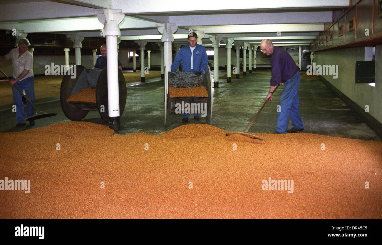 Malsters floor malting process at Langley Maltings Oldbury West Midlands UK Stock Photo
