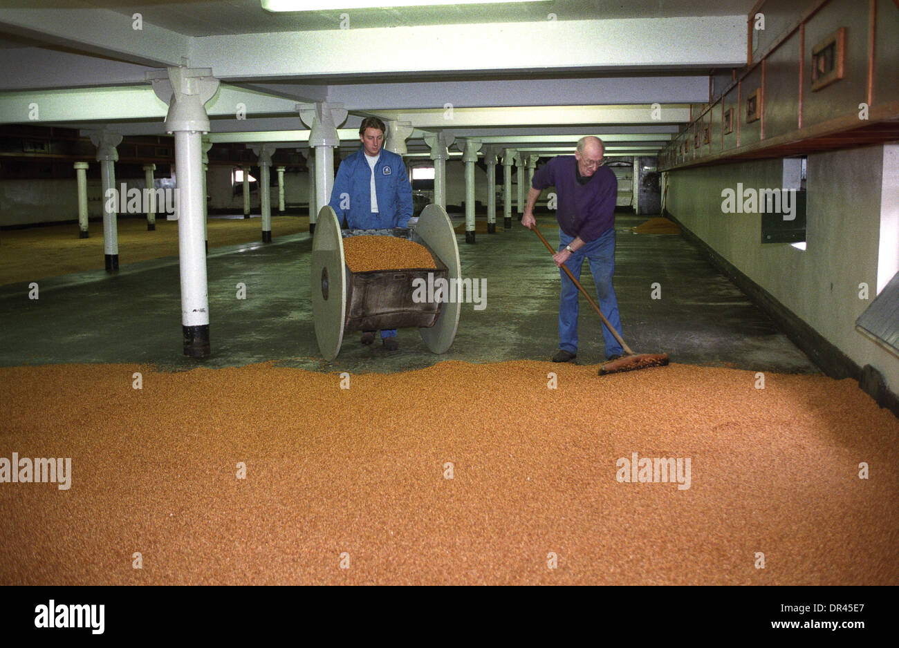 Malsters floor malting process at Langley Maltings Oldbury West Midlands UK Stock Photo