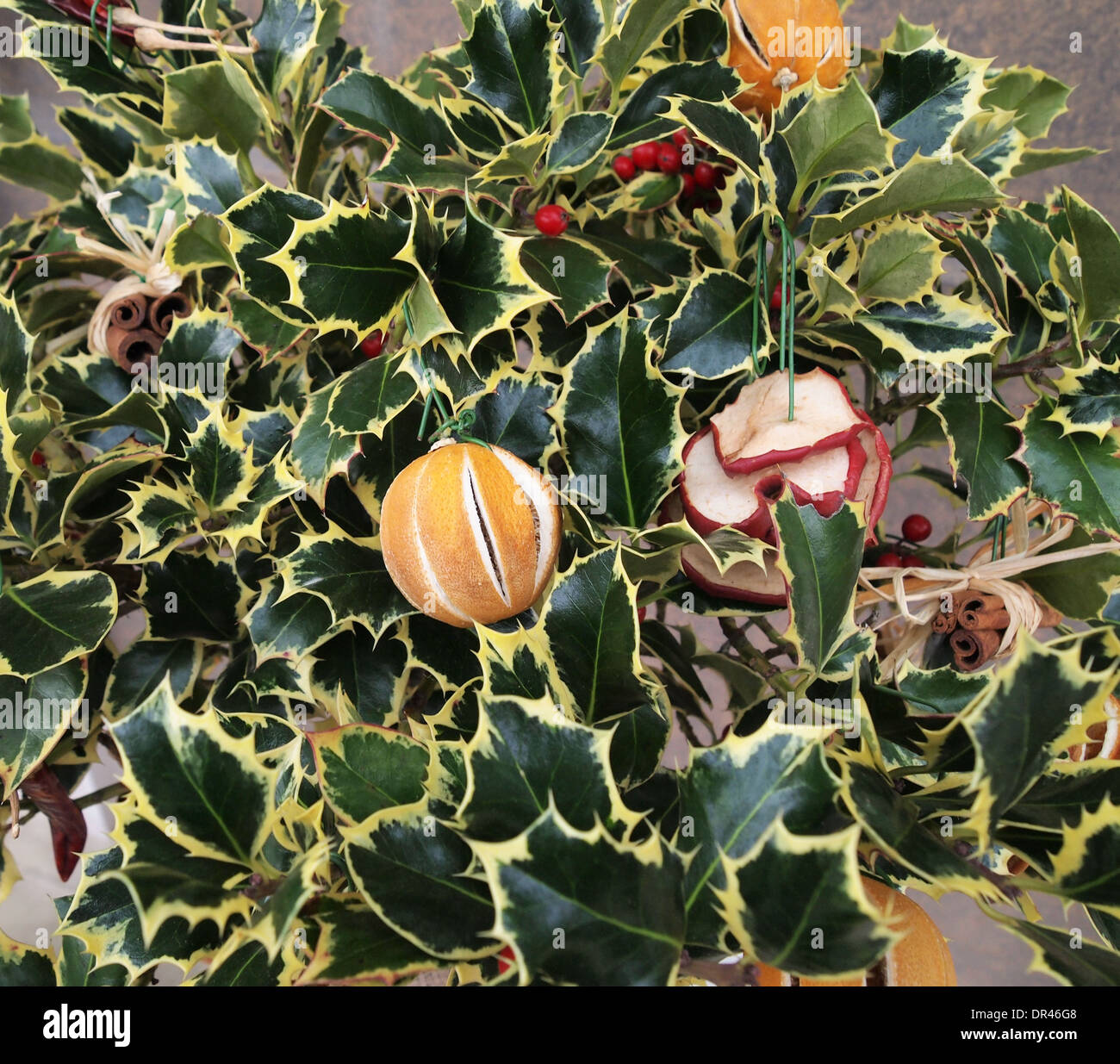 Photo of dried fruit and herbs decorated as seasonal holiday tree Stock Photo