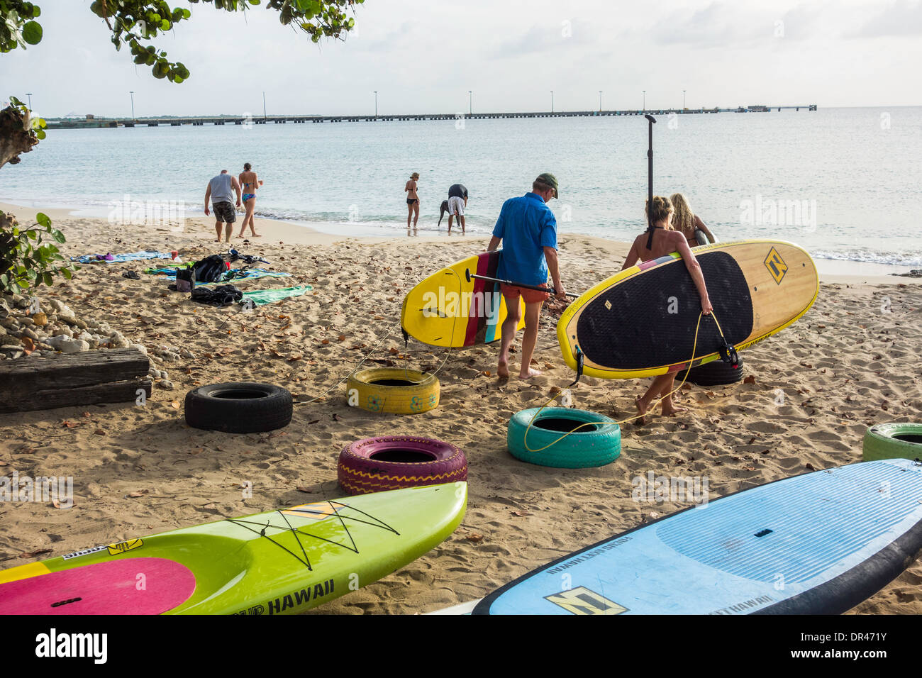 Three people carry their stand-up paddle boards toward the Caribbean from the beach in St. Croix, U.S. Virgin Islands. Stock Photo