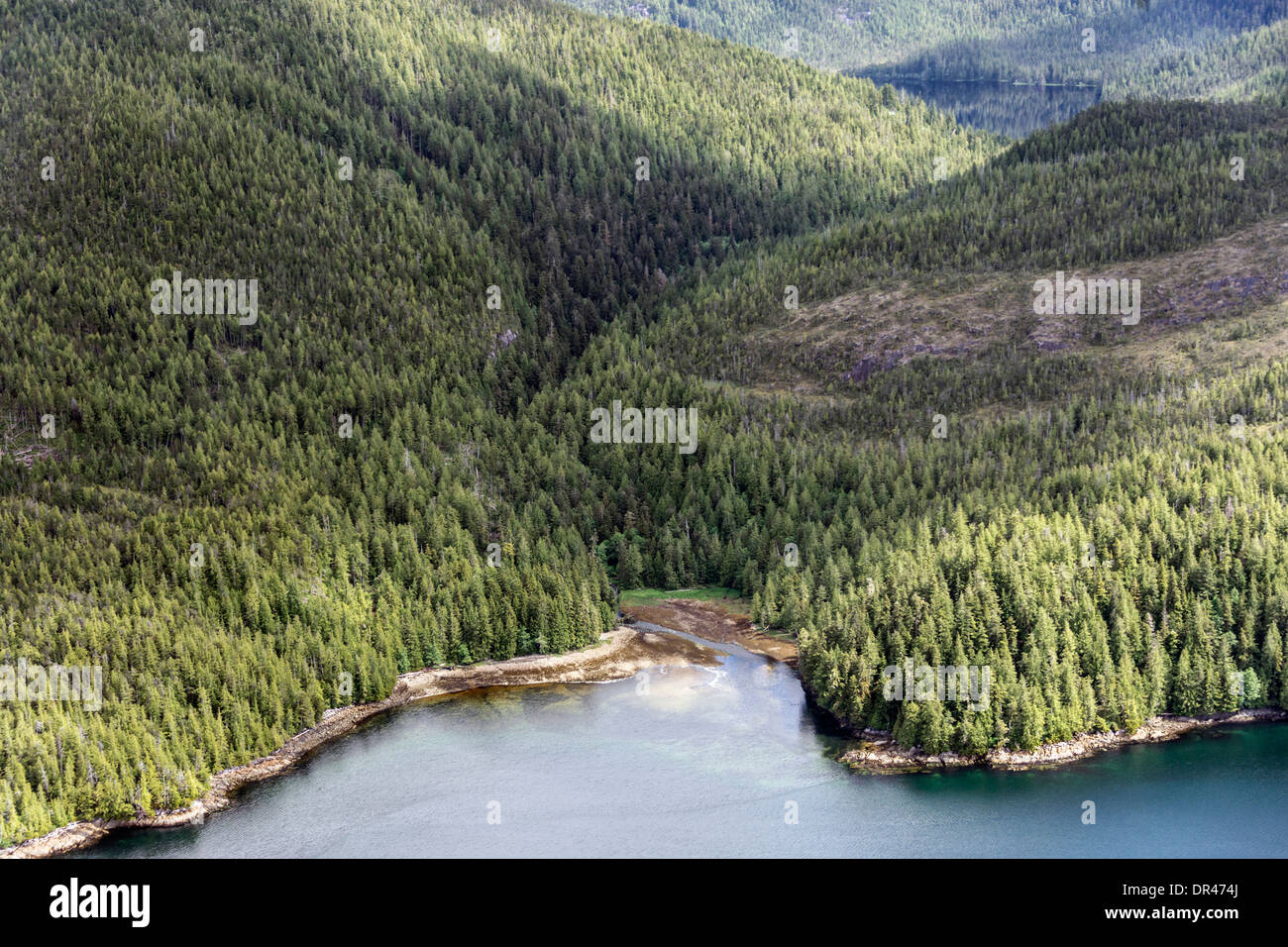 Great Bear Rainforest, south of Baker Inlet, mid-coast British Columbia ...