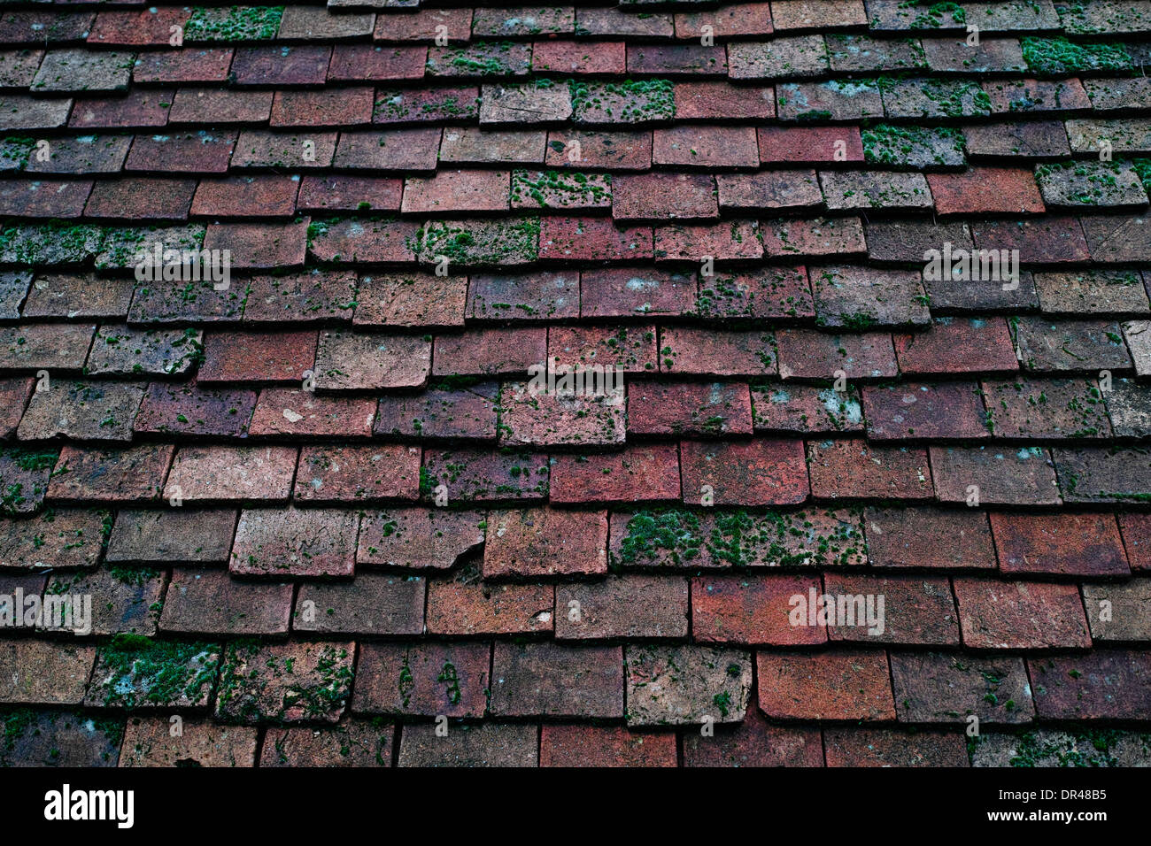Roof tiles in Giverny, France Stock Photo