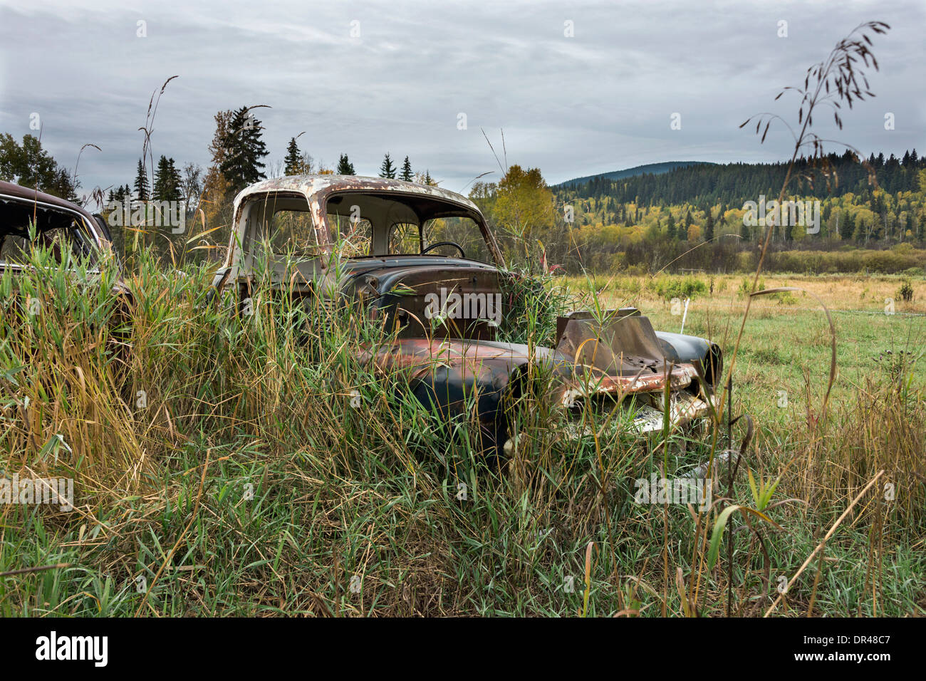 Abandoned old Chevy truck, on a farm near Likely, Cariboo-Chilcotin region, British Columbia Stock Photo