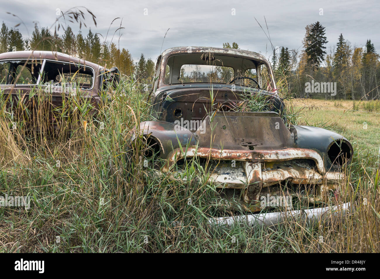Abandoned old Chevy truck and car on a farm near Likely, Cariboo-Chilcotin region, British Columbia Stock Photo