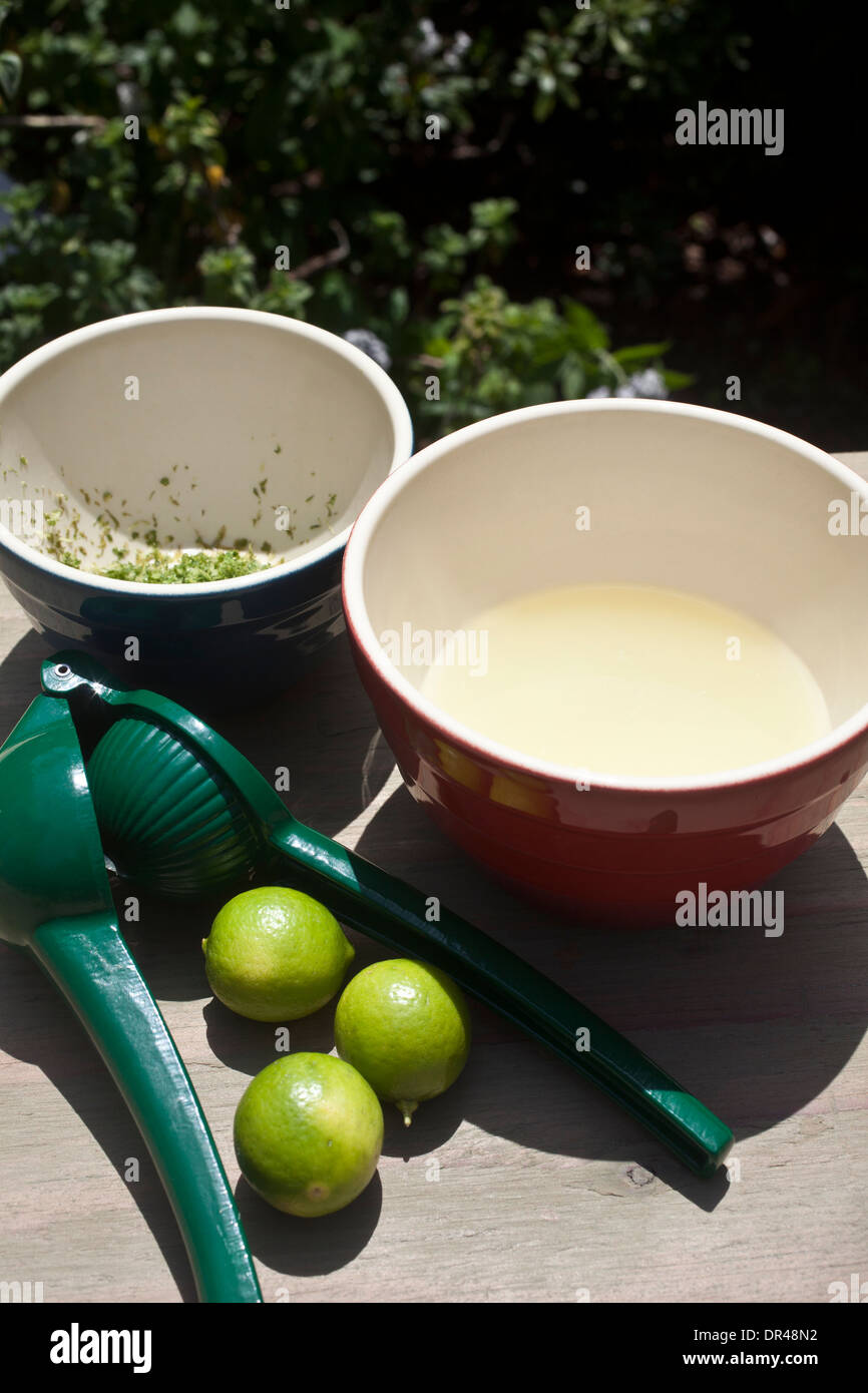 Fresh squeezed lime juice Stock Photo