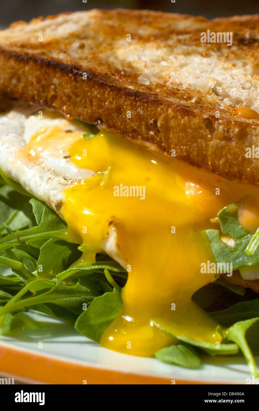 Runny egg breakfast sandwich Stock Photo Alamy