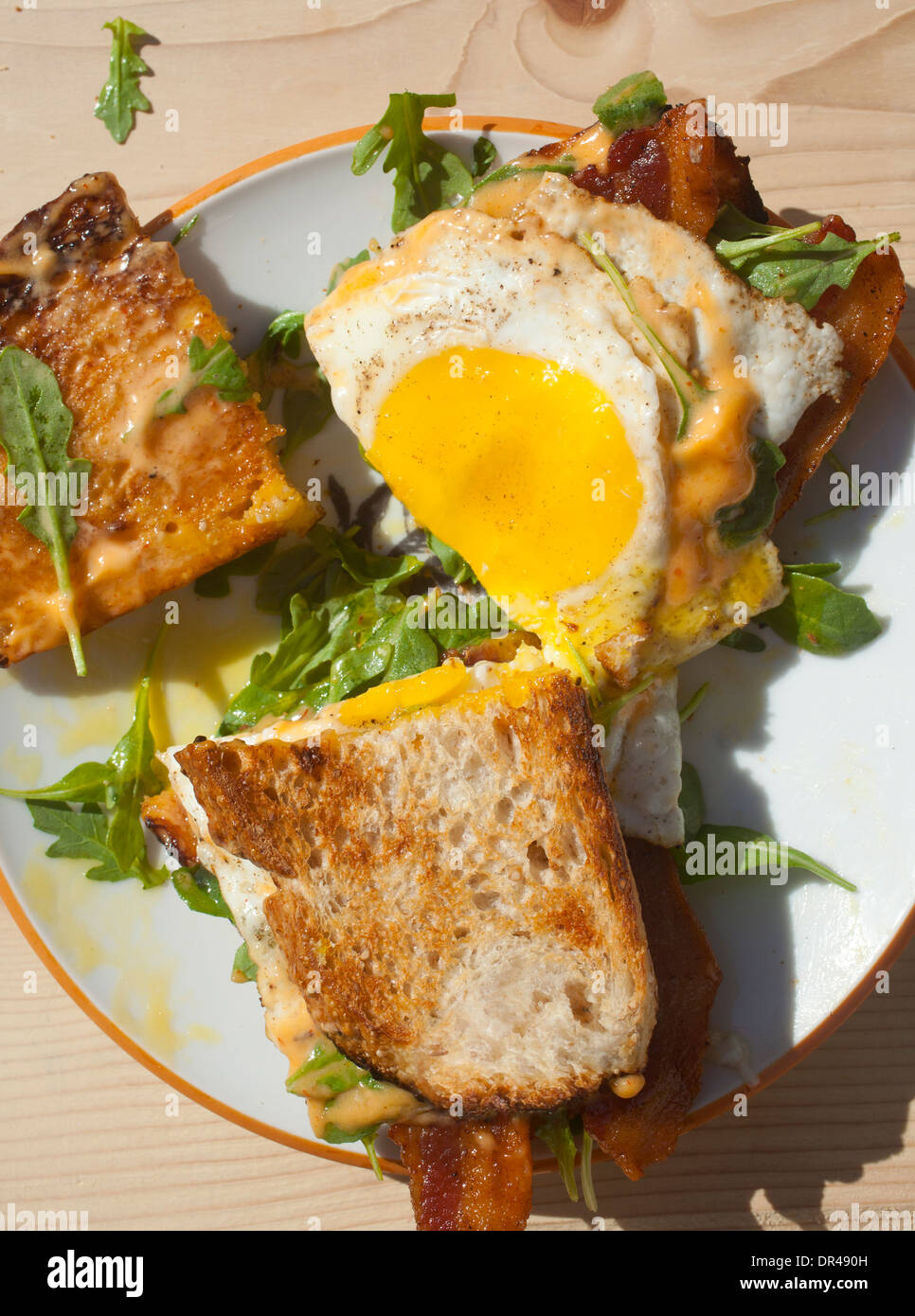 Egg breakfast sandwich Stock Photo