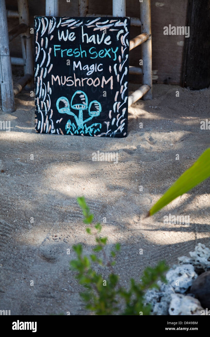 Magic mushrooms Stock Photo