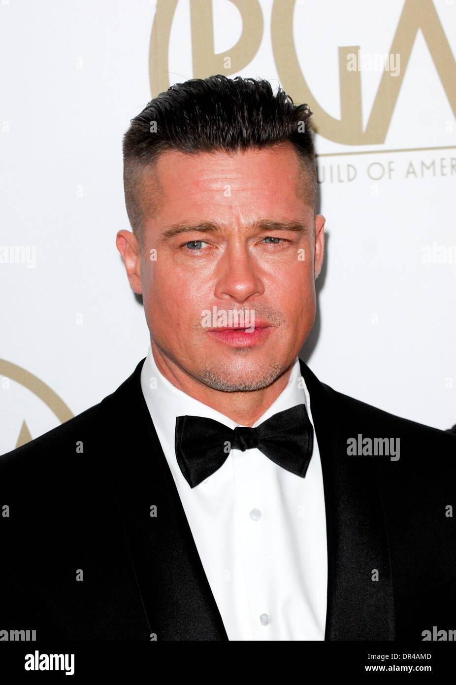 Beverly Hills, CA, . 19th Jan, 2014. Brad Pitt at arrivals for 25th Annual Producers Guild of America Awards (PGAs) - Arrivals, The Beverly Hilton Hotel, Beverly Hills, CA January 19, 2014. Credit:  Elizabeth Goodenough/Everett Collection/Alamy Live News Stock Photo