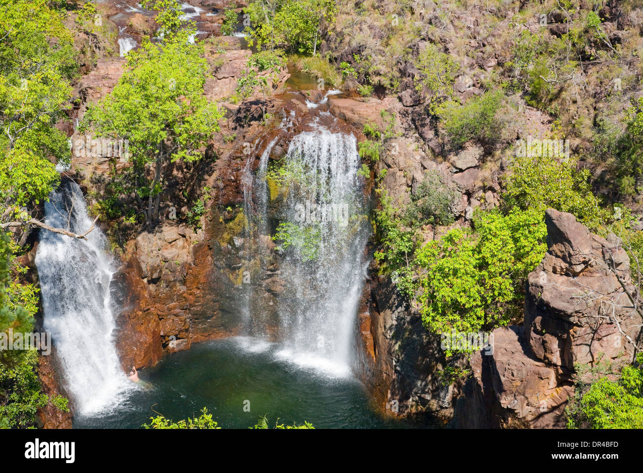 Florence falls and plunge pool in litchfield national park,northern territory,Australia Stock Photo