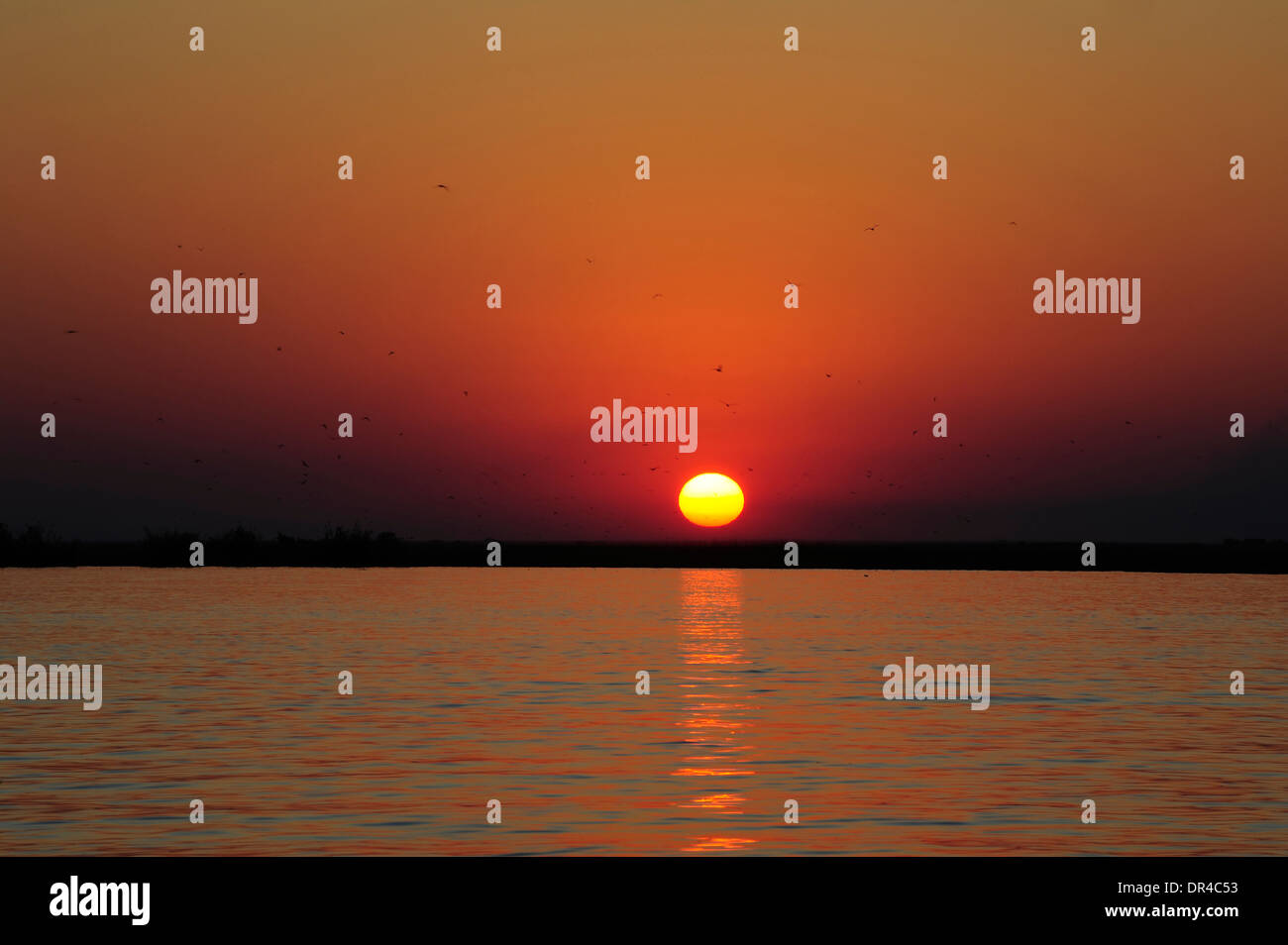 Sunset at Lake Manyara National Park Stock Photo