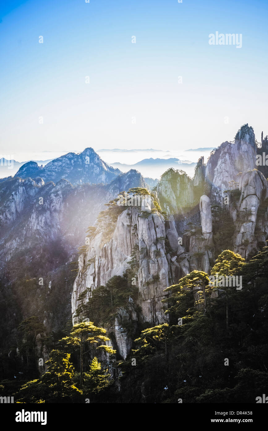 Trees growing on rocky mountains, Huangshan, Anhui, China Stock Photo