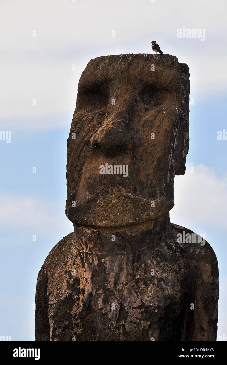 Moai Statue in Easter Island, Chile Stock Photo