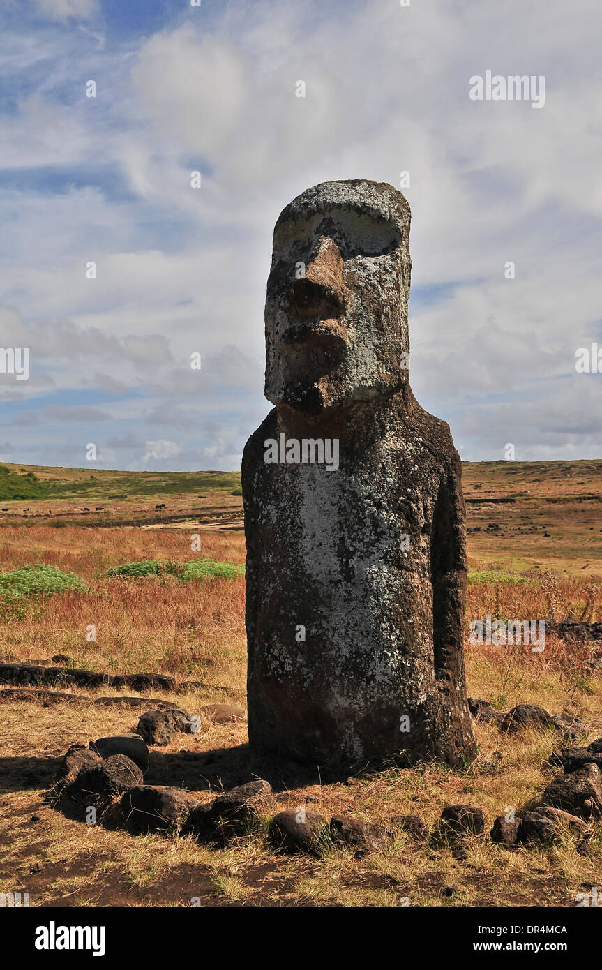 Moai Statue in Easter Island, Chile Stock Photo Alamy