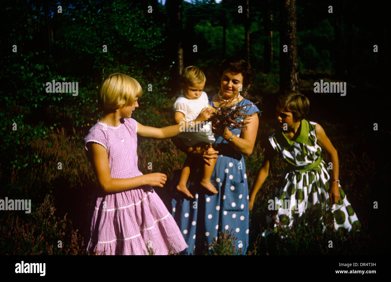 A mother and two teenage girls stand among heather in country field during summer time in the early 1960s. Stock Photo