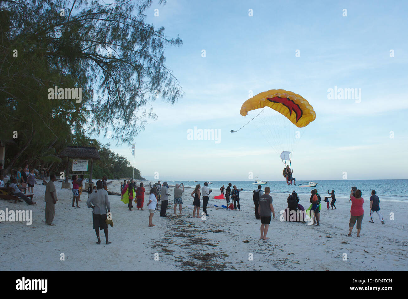 Tourists look on as a tandem skydive parachute lands on the beach outside 40 Thieves bar, Diani Beach. Kenya Stock Photo