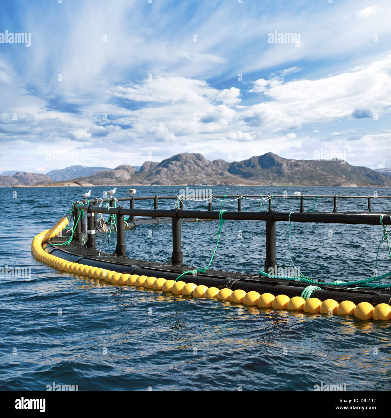 Round fish farm cage in Norwegian Sea Stock Photo - Alamy