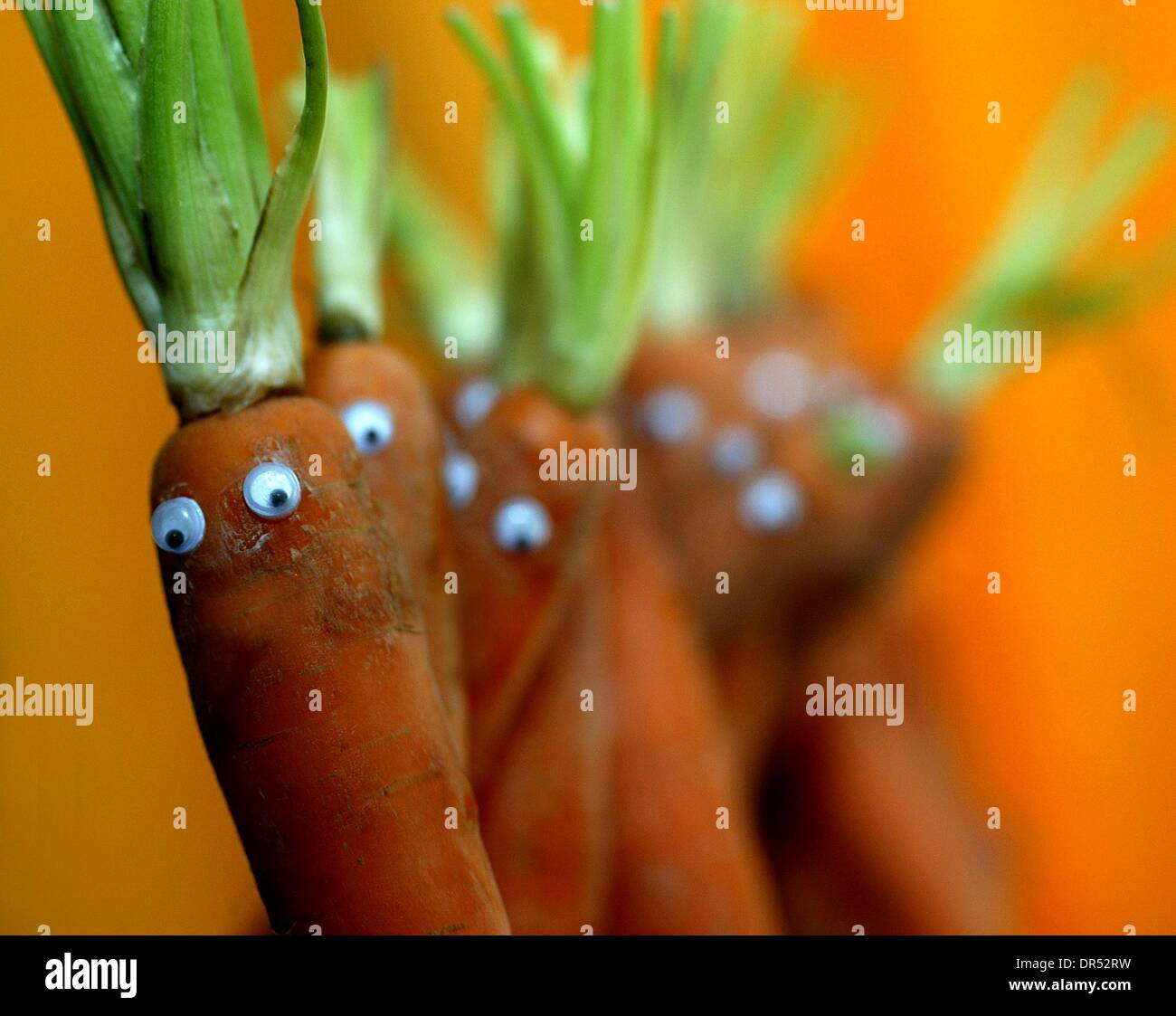 Animals created from fruit and vegetables Stock Photo