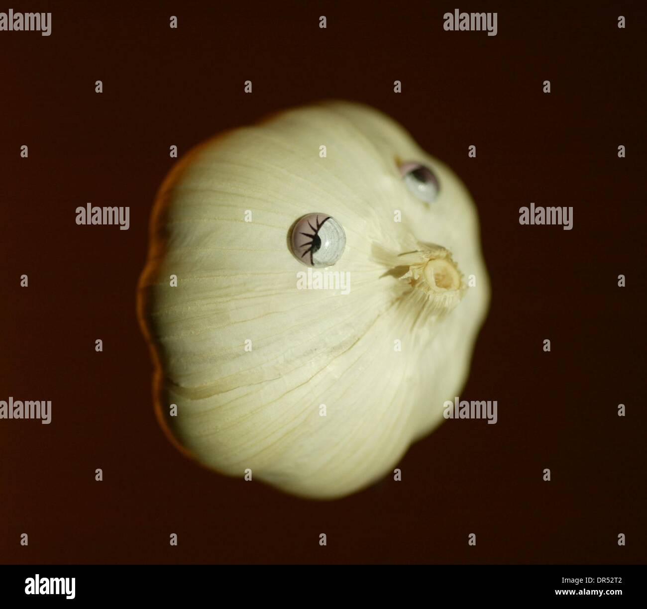 Animals created from fruit and vegetables Stock Photo Alamy