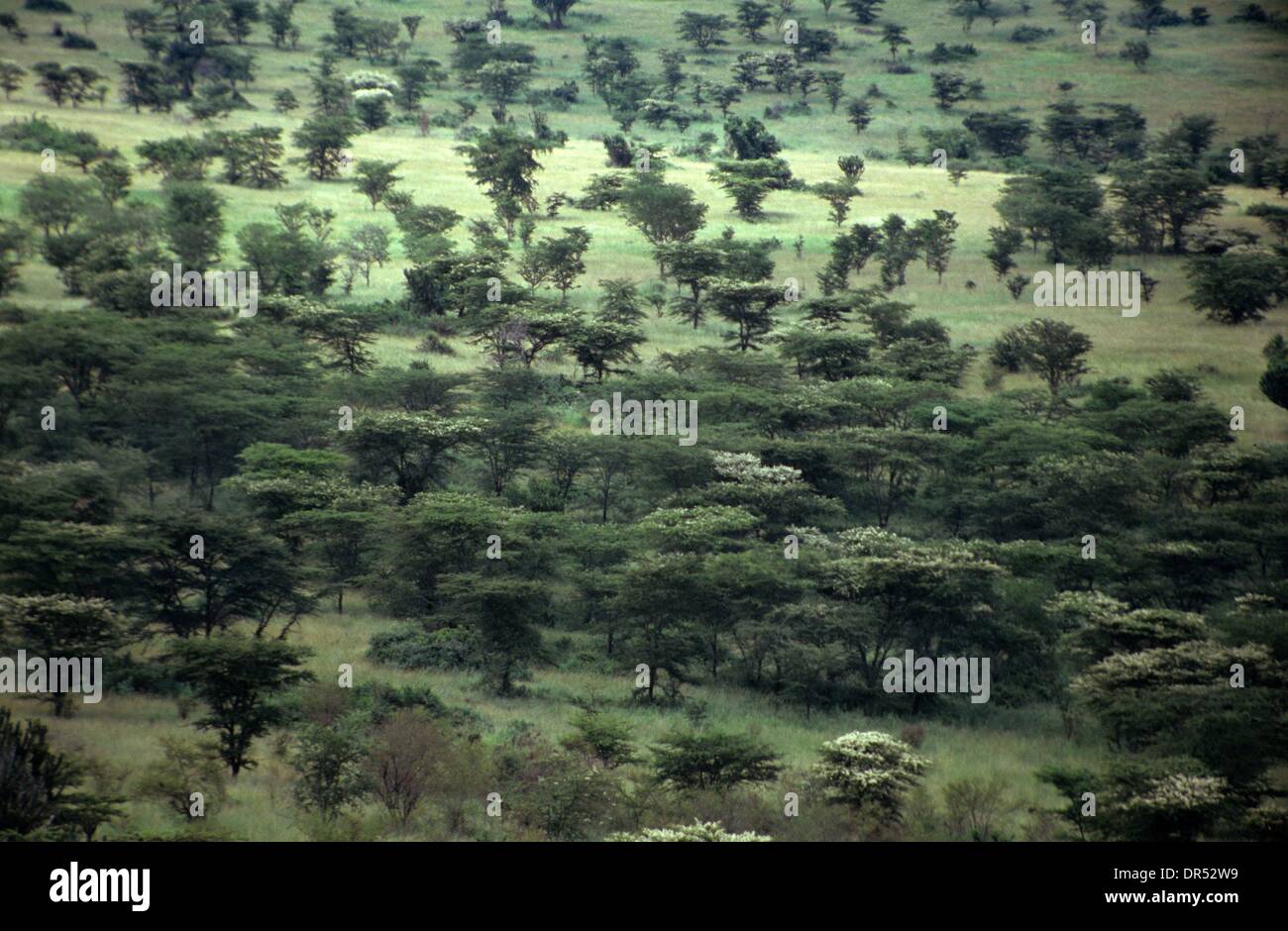 wildlife in Serengiti natural reserve, Uganda Stock Photo