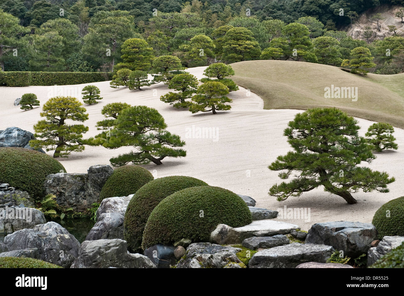 Miniature pine trees give a sense of scale to the gardens of the Adachi Museum of Art, a famous 20c garden by Adachi Zenko at Matsue, Japan Stock Photo