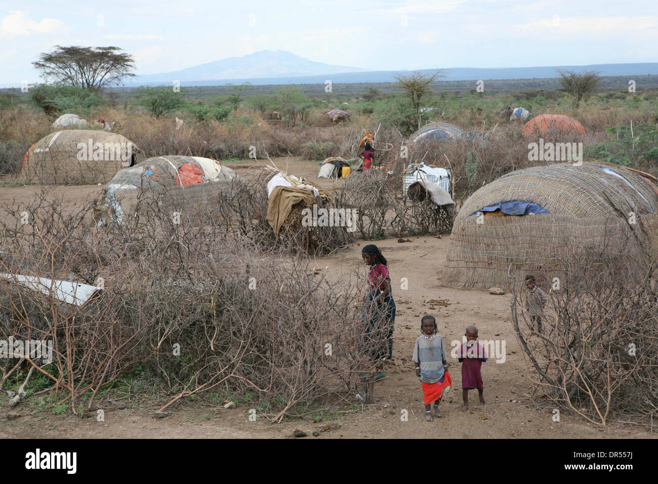 Ethiopian nomad family with their hut and animals Stock Photo - Alamy