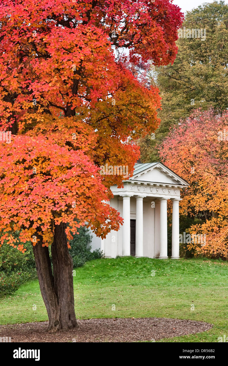 Autumn in Kew Gardens, London, UK. The Temple of Bellona, built in 1760, with an American smokewood tree (cotinus obovatus 'Chittamwood') Stock Photo