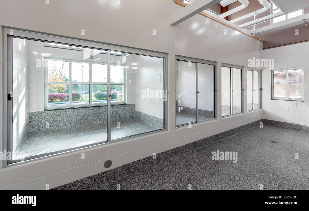 Glass windows to holding areas in animal shelter Stock Photo