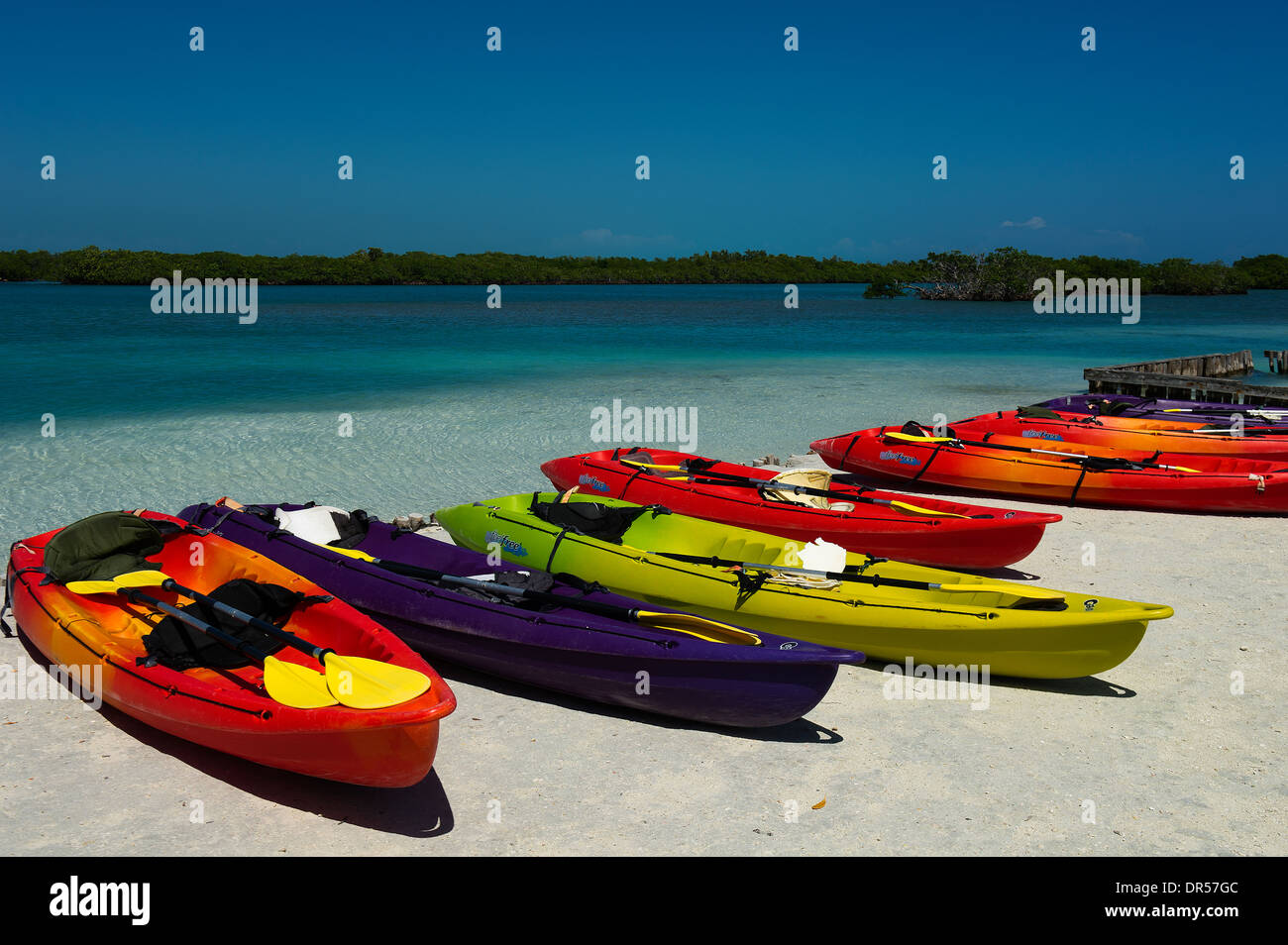 Line-up of Canoe on the Beach of Belize Stock Photo