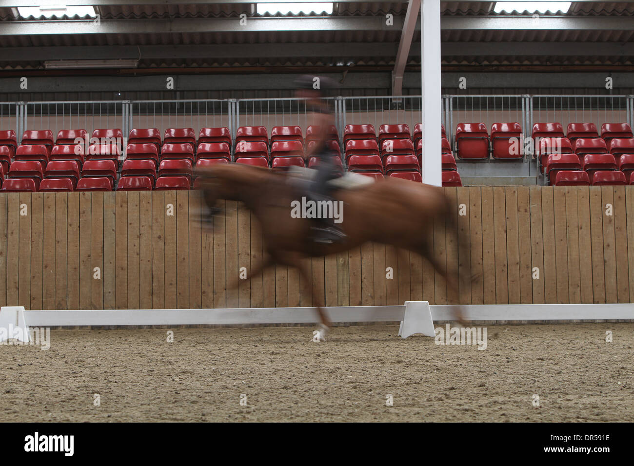 horse dressage arena Stock Photo