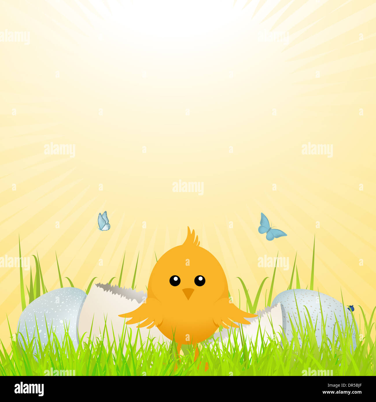 Easter Chick in front of Broken egg on spring Background with Butterflies Stock Photo