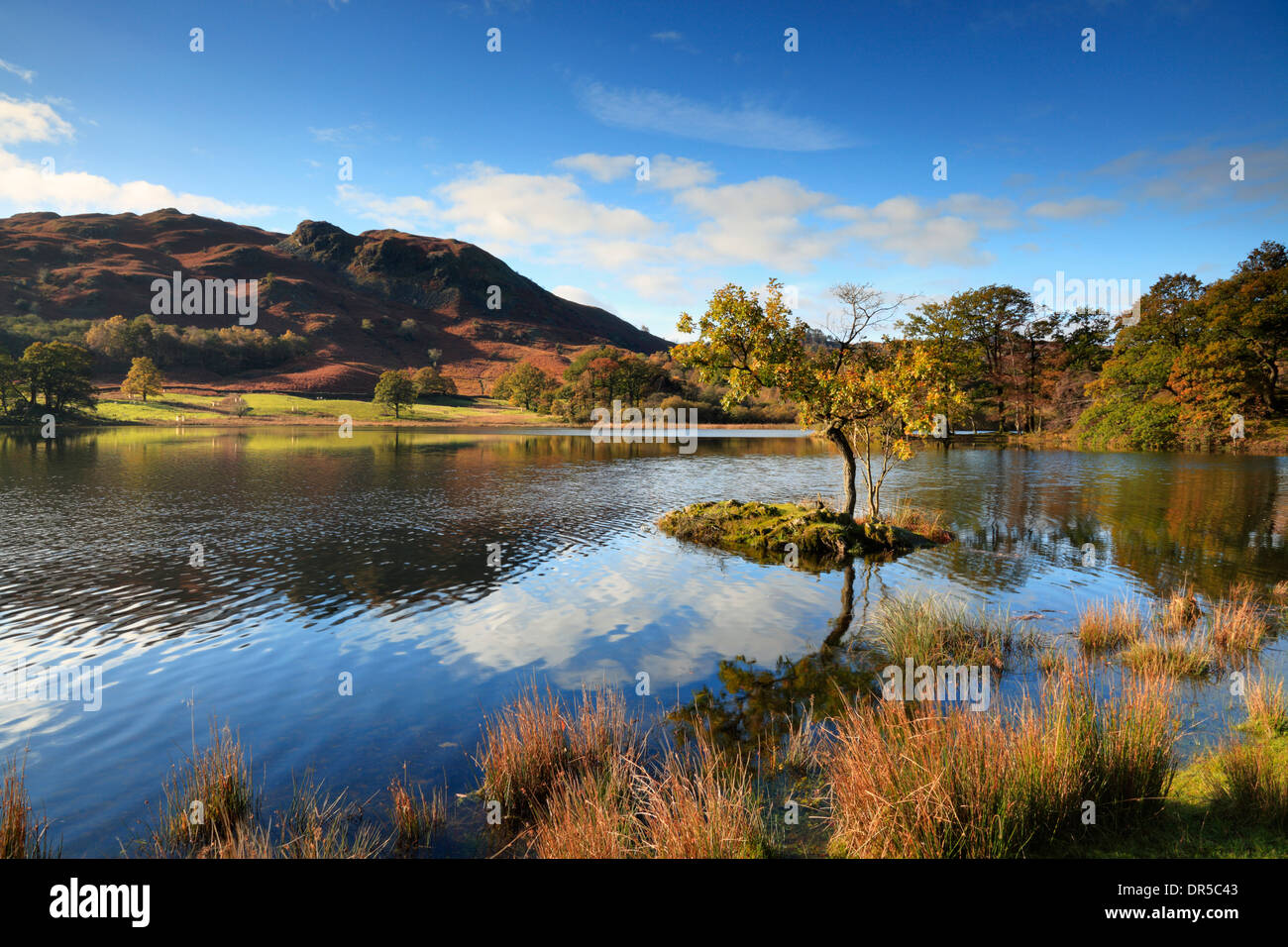 Autumn day at Rydal Water in the Lake District of England Stock Photo