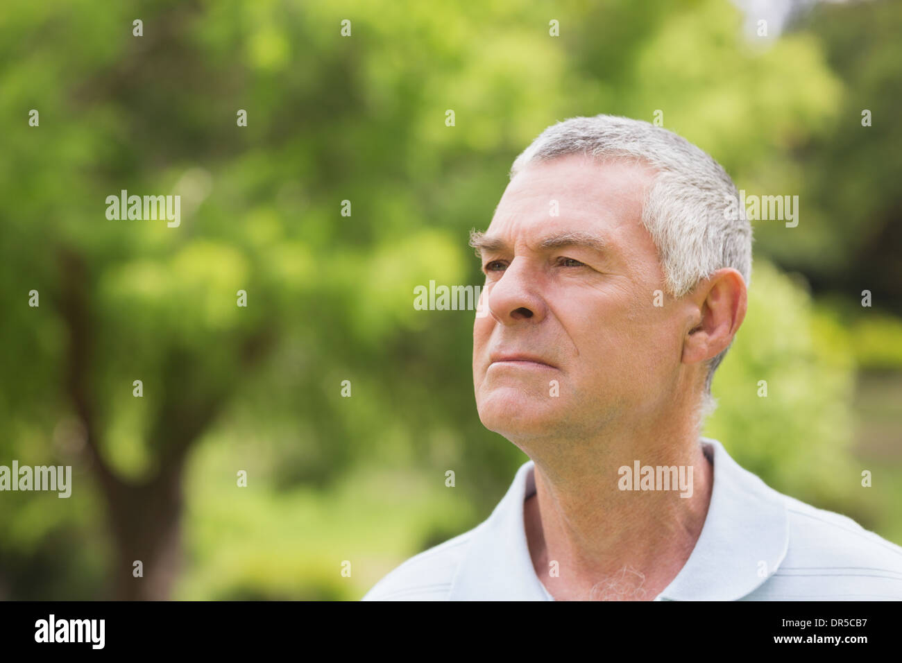 Close-up of a serious senior man at park Stock Photo