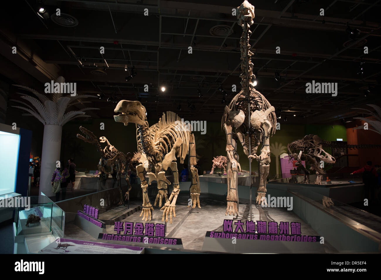 The Dinosaur exhibition at the Science Museum in Hong Kong. Life size