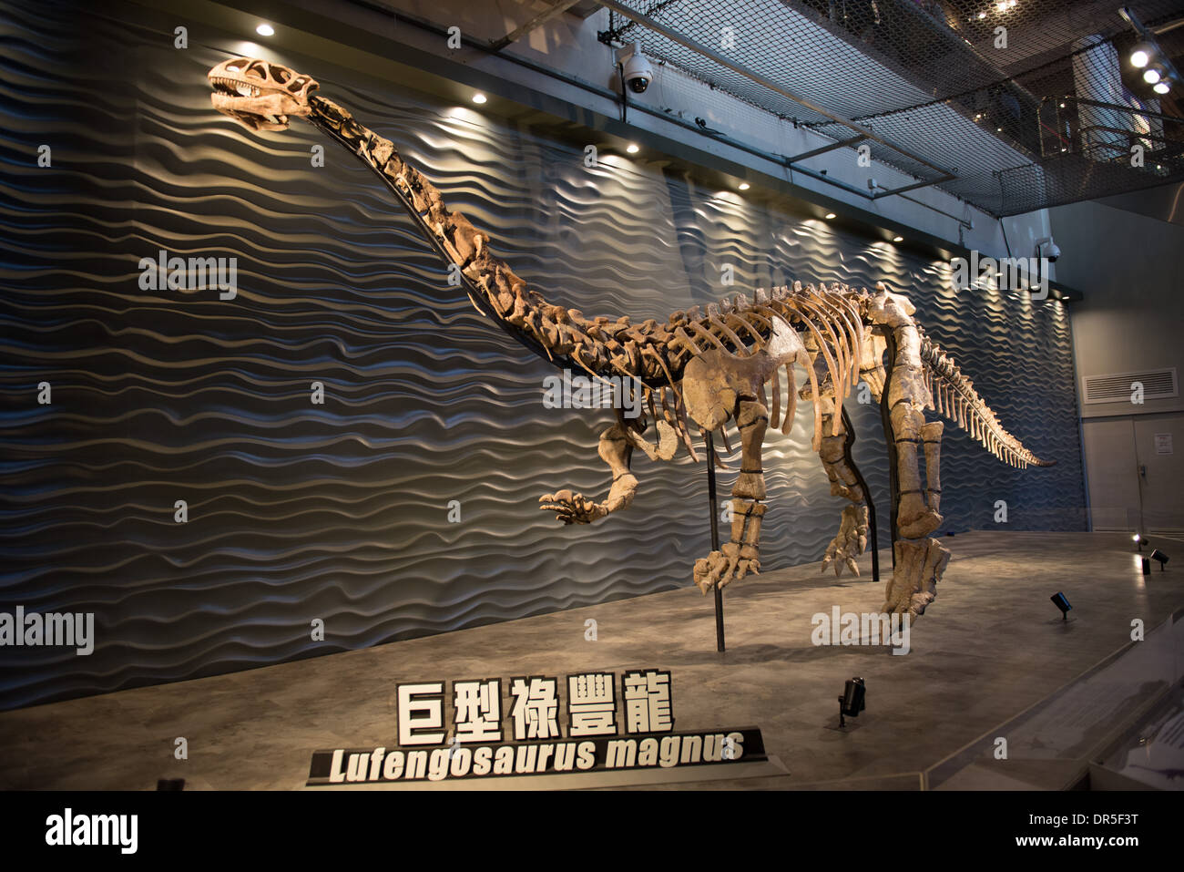 The Dinosaur exhibition at the Science Museum in Hong Kong. Life size