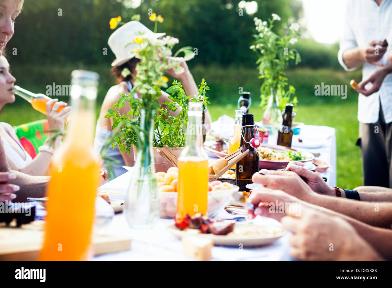 Picnic table with food hi-res stock photography and images - Alamy
