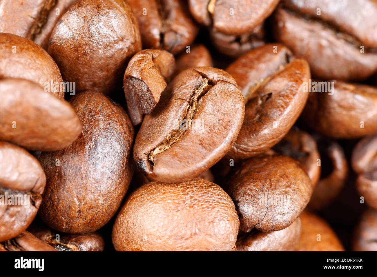 Background of roasted arabica coffee beans. Macro with shallow DOF. Stock Photo